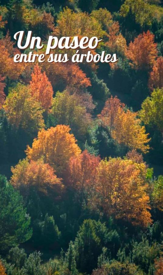 Apartment Aranones Canfranc